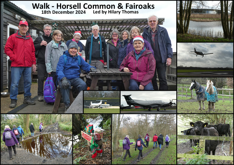 Walk - Horsell Common & Fairoaks - 18th December 2024